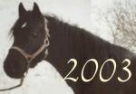 ThumbNail2003