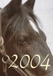 ThumbNail2004