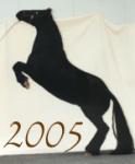 Bilder aus dem Jahr 2005