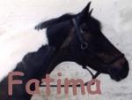 Fatima